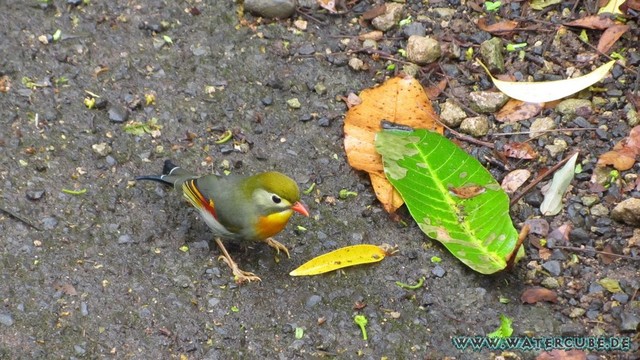 Hawaii-2012-236.jpg