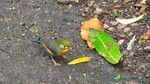 Hawaii-2012-236.jpg