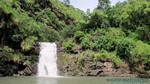 Hawaii-2012-239.jpg