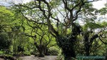 Hawaii-2012-240.jpg