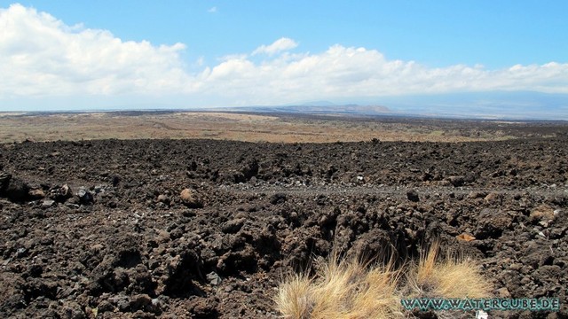Hawaii-2012-267.jpg
