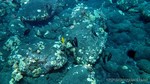 Hawaii-2012-327.jpg