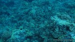 Hawaii-2012-378.jpg