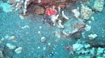 Hawaii-2012-384.jpg