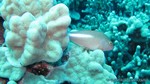 Hawaii-2012-388.jpg