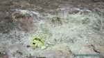 Hawaii-2012-416.jpg