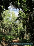 Hawaii-2012-507.jpg