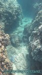 Hawaii-2012-516.jpg