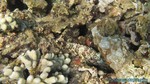 Hawaii-2012-532.jpg