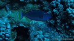 Hawaii-2012-562.jpg