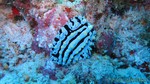 Hawaii-2012-572.jpg