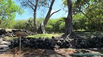 Hawaii-2012-615.jpg
