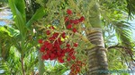 Hawaii-2012-617.jpg