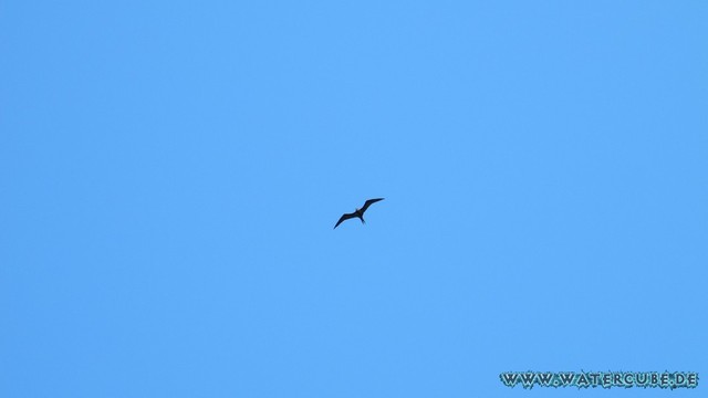 Hawaii-2012-621.jpg