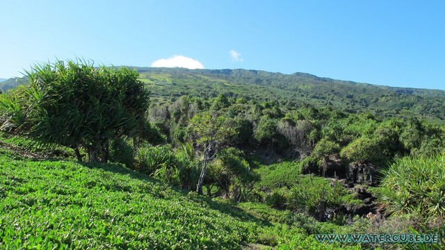 Hawaii-2012-626.jpg