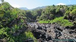 Hawaii-2012-627.jpg