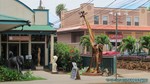 Hawaii-2012-664.jpg