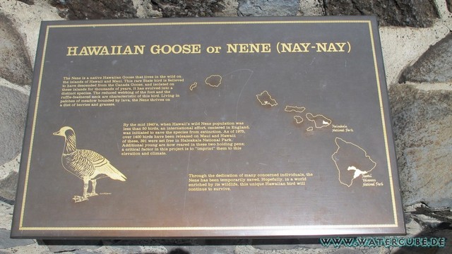 Hawaii-2012-672.jpg
