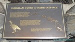 Hawaii-2012-672.jpg
