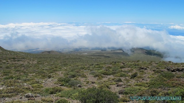 Hawaii-2012-675.jpg