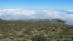 Hawaii-2012-675.jpg