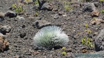 Hawaii-2012-680.jpg