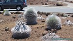 Hawaii-2012-690.jpg