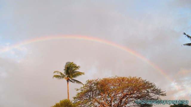 Hawaii-2012-701.jpg