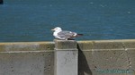 Hawaii-2012-749.jpg