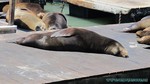 Hawaii-2012-764.jpg