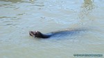 Hawaii-2012-767.jpg