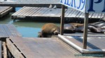 Hawaii-2012-769.jpg