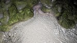 Vilamendhoo2013-051.jpg