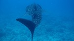 Vilamendhoo2013-088.jpg