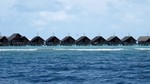 Vilamendhoo2013-099.jpg