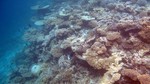 Vilamendhoo2013-104.jpg