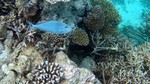 Vilamendhoo2013-110.jpg