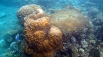 Vilamendhoo2013-111.jpg