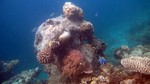 Vilamendhoo2013-112.jpg