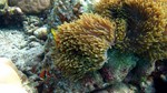 Vilamendhoo2013-114.jpg