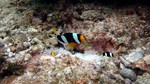 Vilamendhoo2013-122.jpg