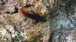 Vilamendhoo2013-123.jpg