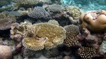 Vilamendhoo2013-129.jpg