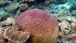 Vilamendhoo2013-130.jpg