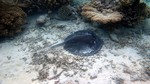 Vilamendhoo2013-131.jpg