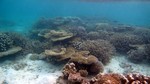 Vilamendhoo2013-132.jpg
