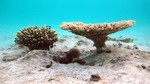 Vilamendhoo2013-141.jpg