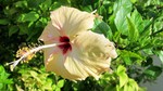 Vilamendhoo2013-146.jpg