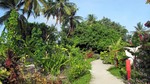 Vilamendhoo2013-147.jpg