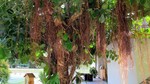 Vilamendhoo2013-151.jpg